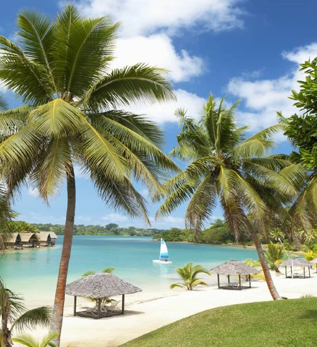 Palm-fringed lagoon beach in Vanuatu